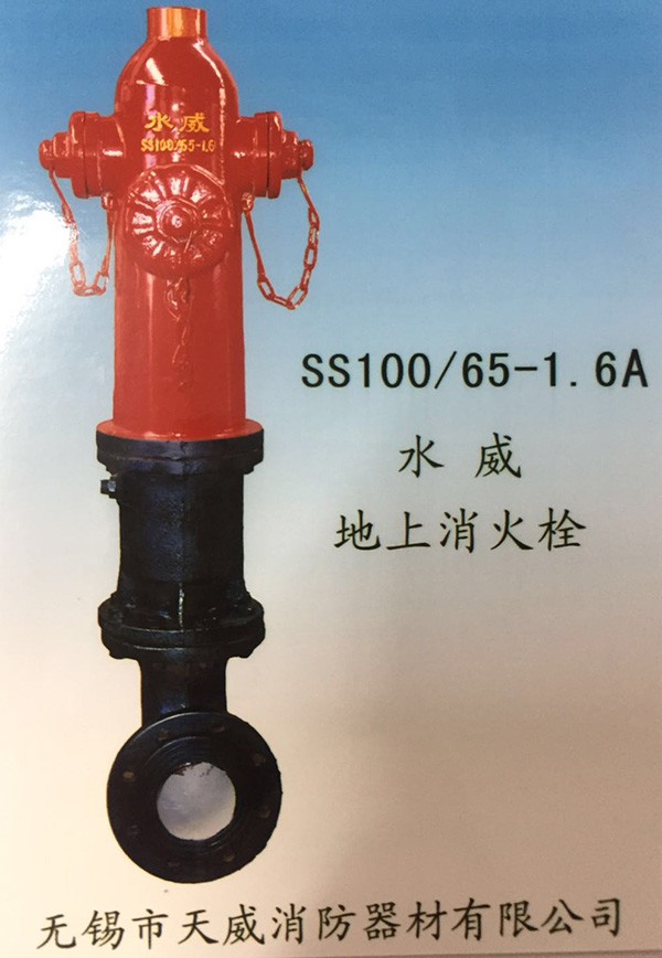 SS100/65-1.6Aˮ˨