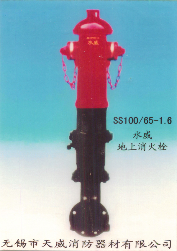 ˨SS100-65-1.6