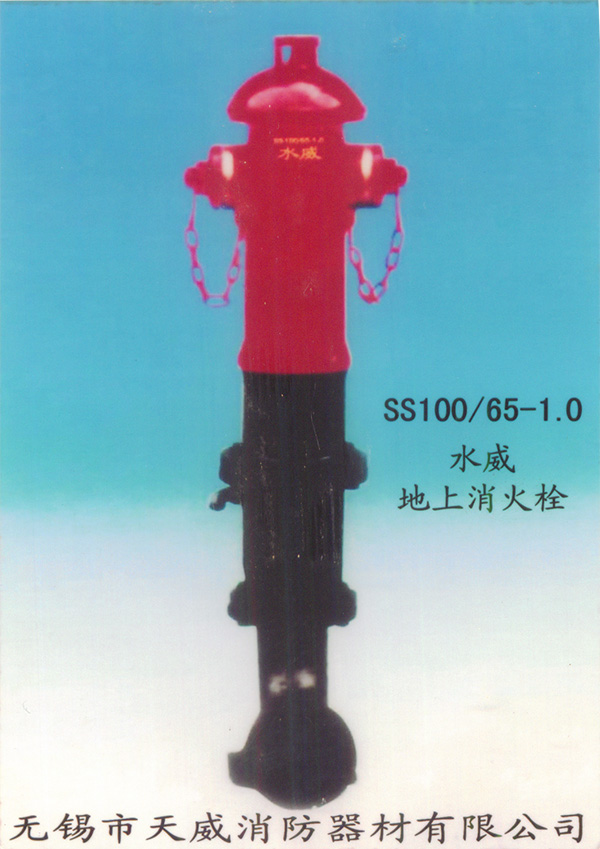 ˨SS100-65-1.0